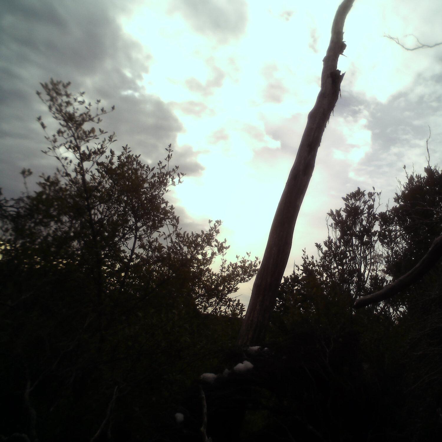 A photo captured from the webcam at the time the audio was recorded