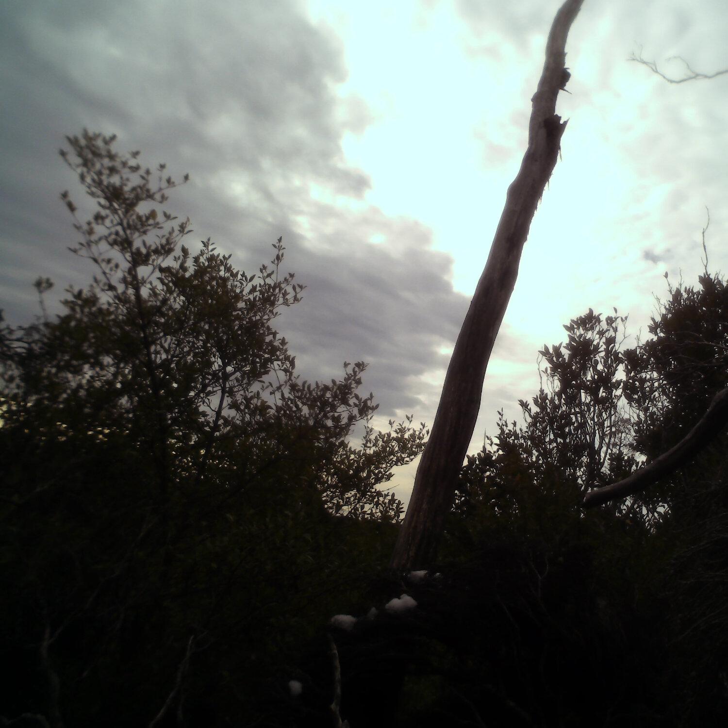 A photo captured from the webcam at the time the audio was recorded