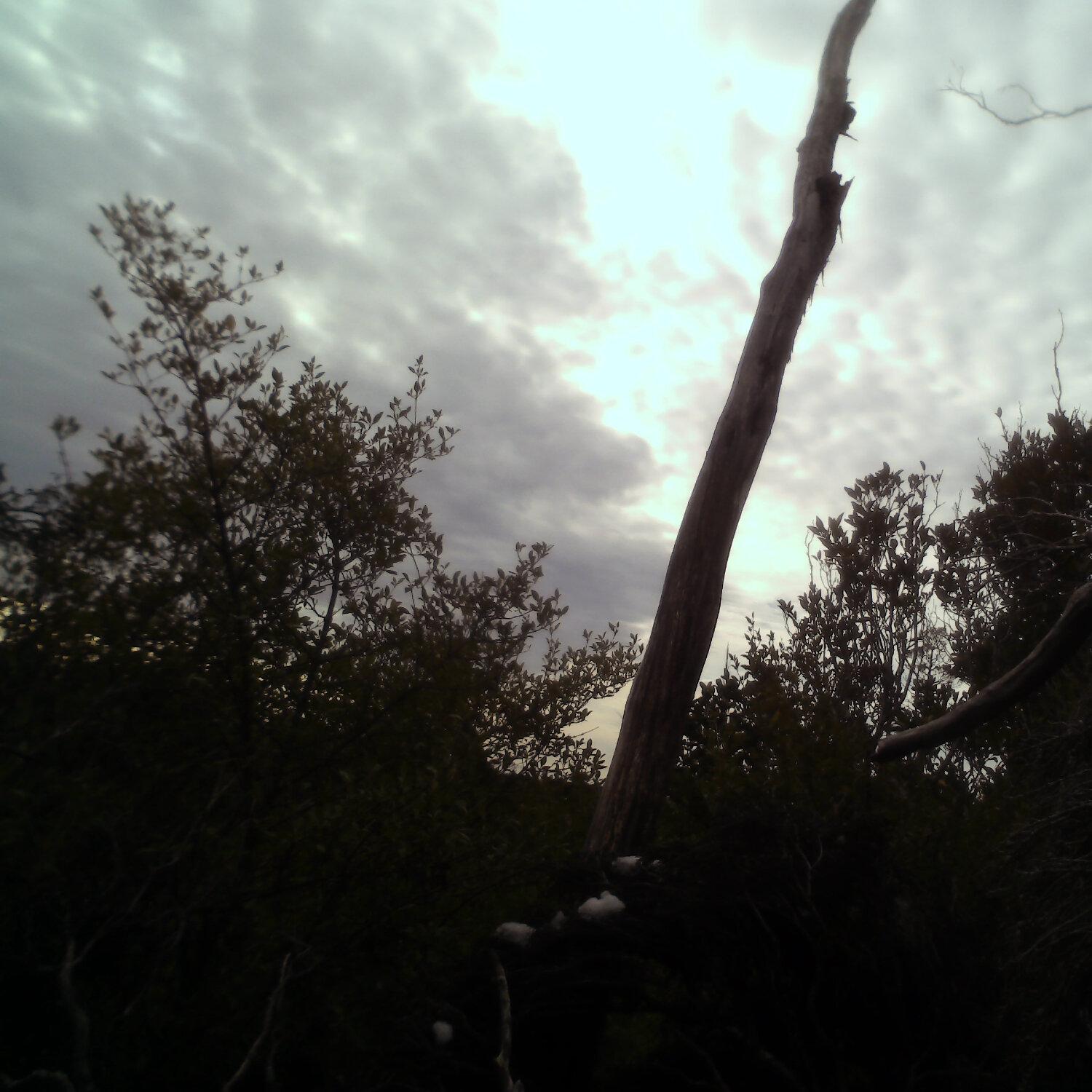 A photo captured from the webcam at the time the audio was recorded