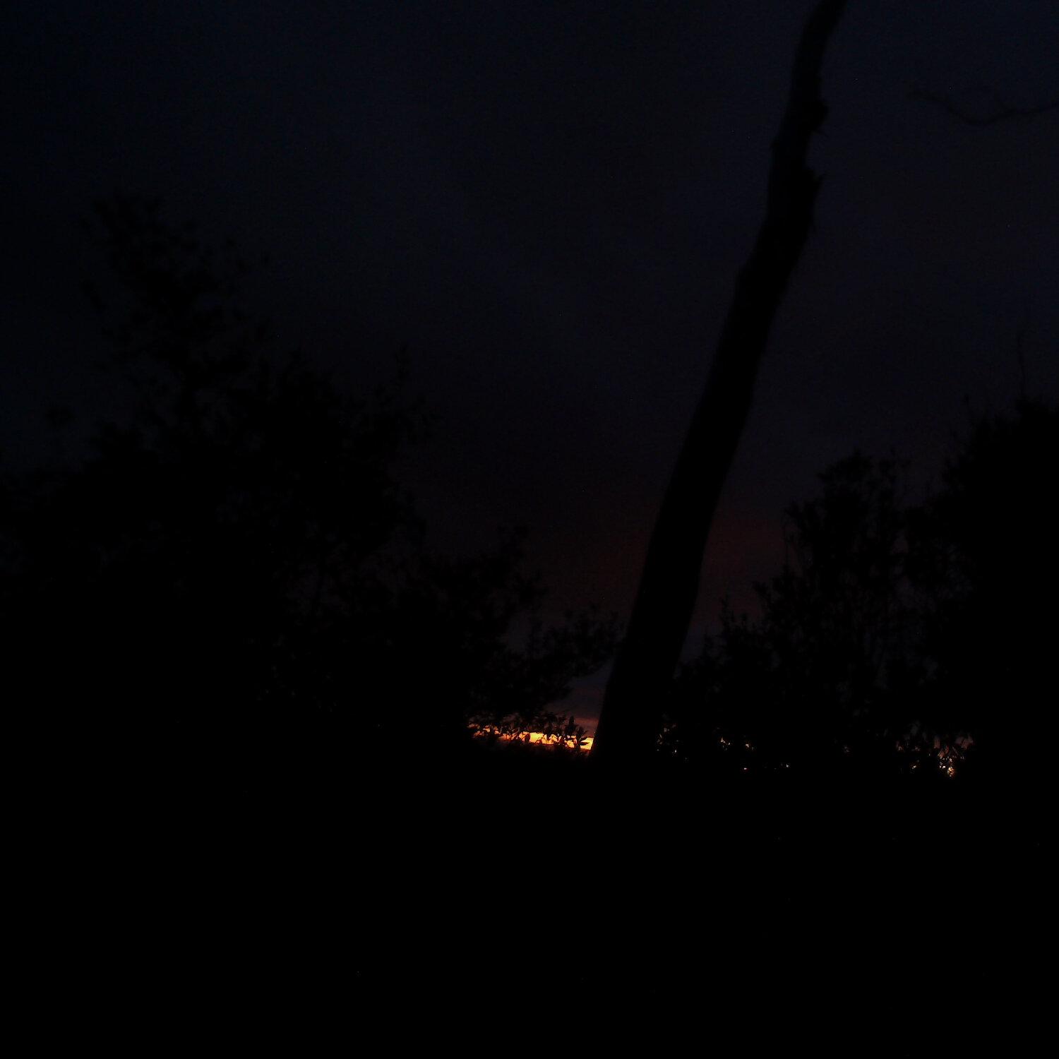 A photo captured from the webcam at the time the audio was recorded