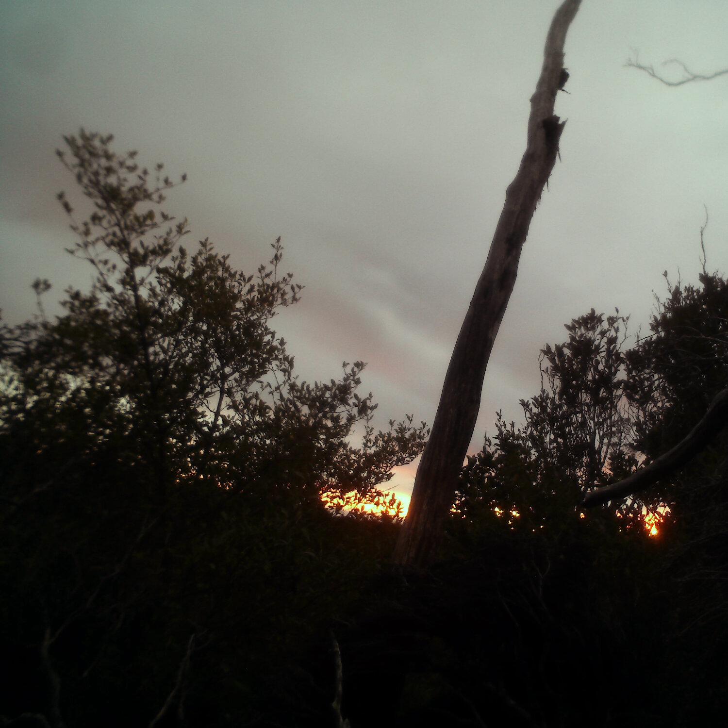 A photo captured from the webcam at the time the audio was recorded