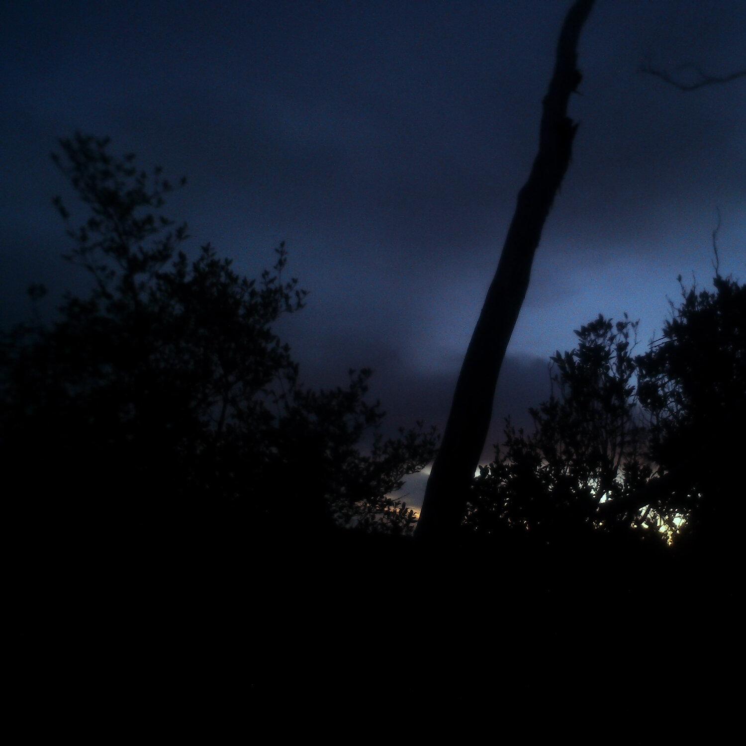 A photo captured from the webcam at the time the audio was recorded