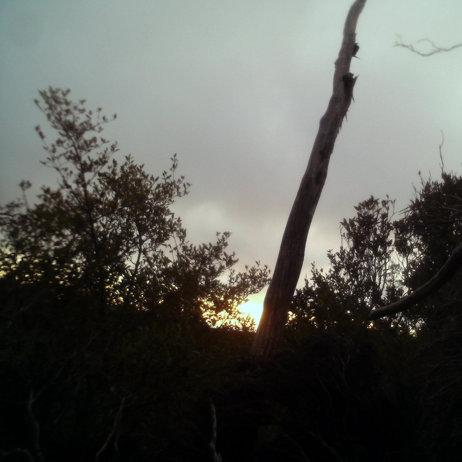 A photo captured from the webcam at the time the audio was recorded