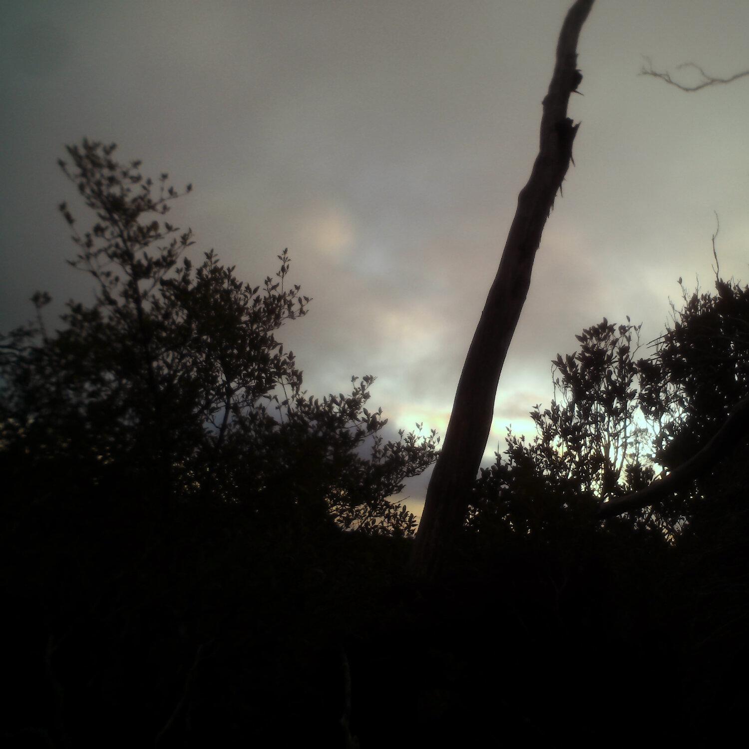 A photo captured from the webcam at the time the audio was recorded