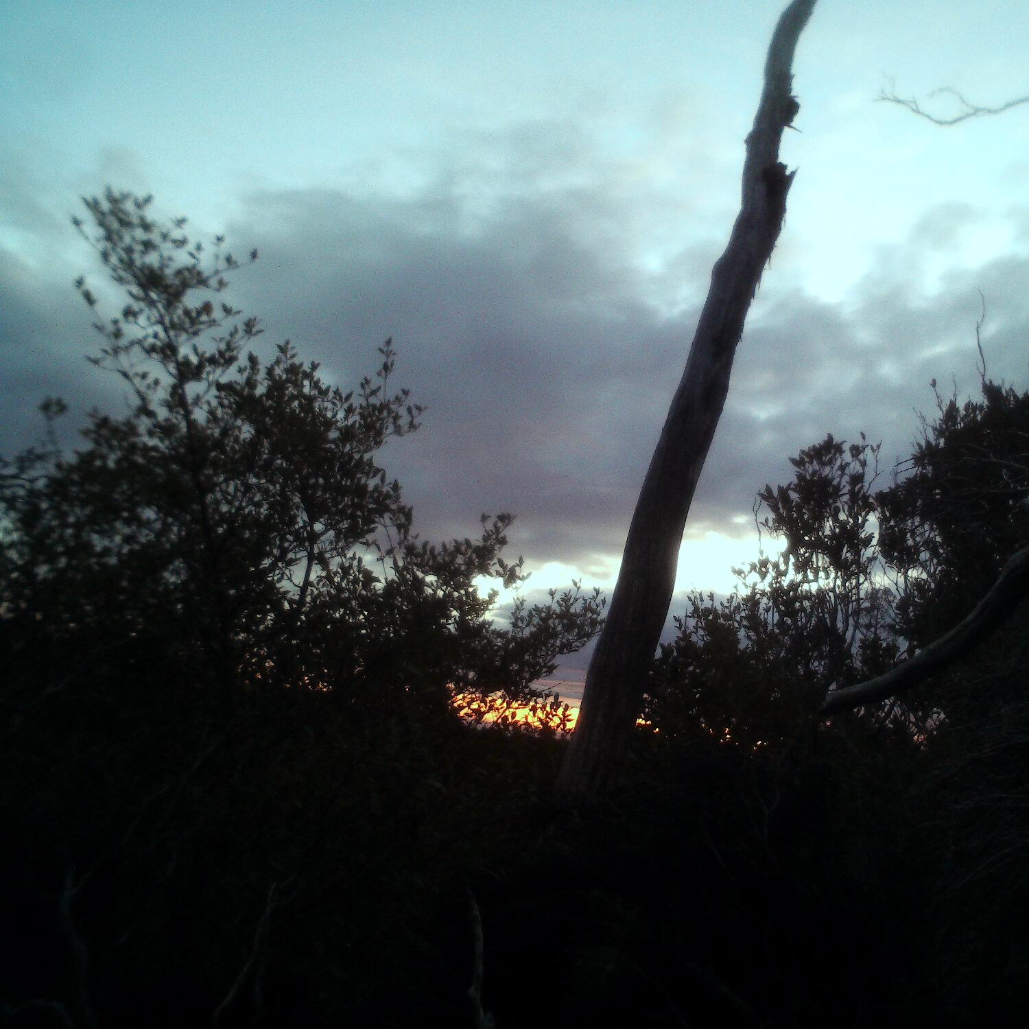 A photo captured from the webcam at the time the audio was recorded