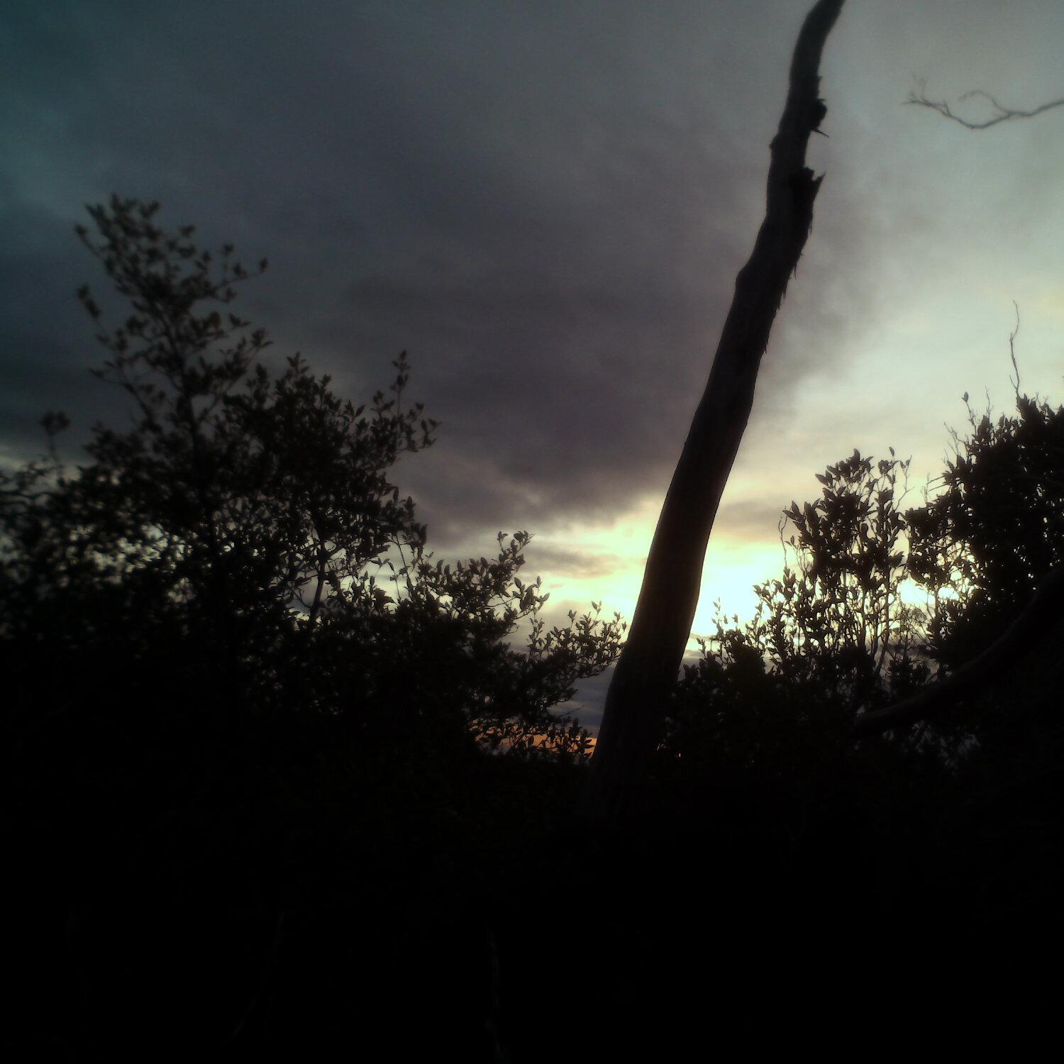 A photo captured from the webcam at the time the audio was recorded
