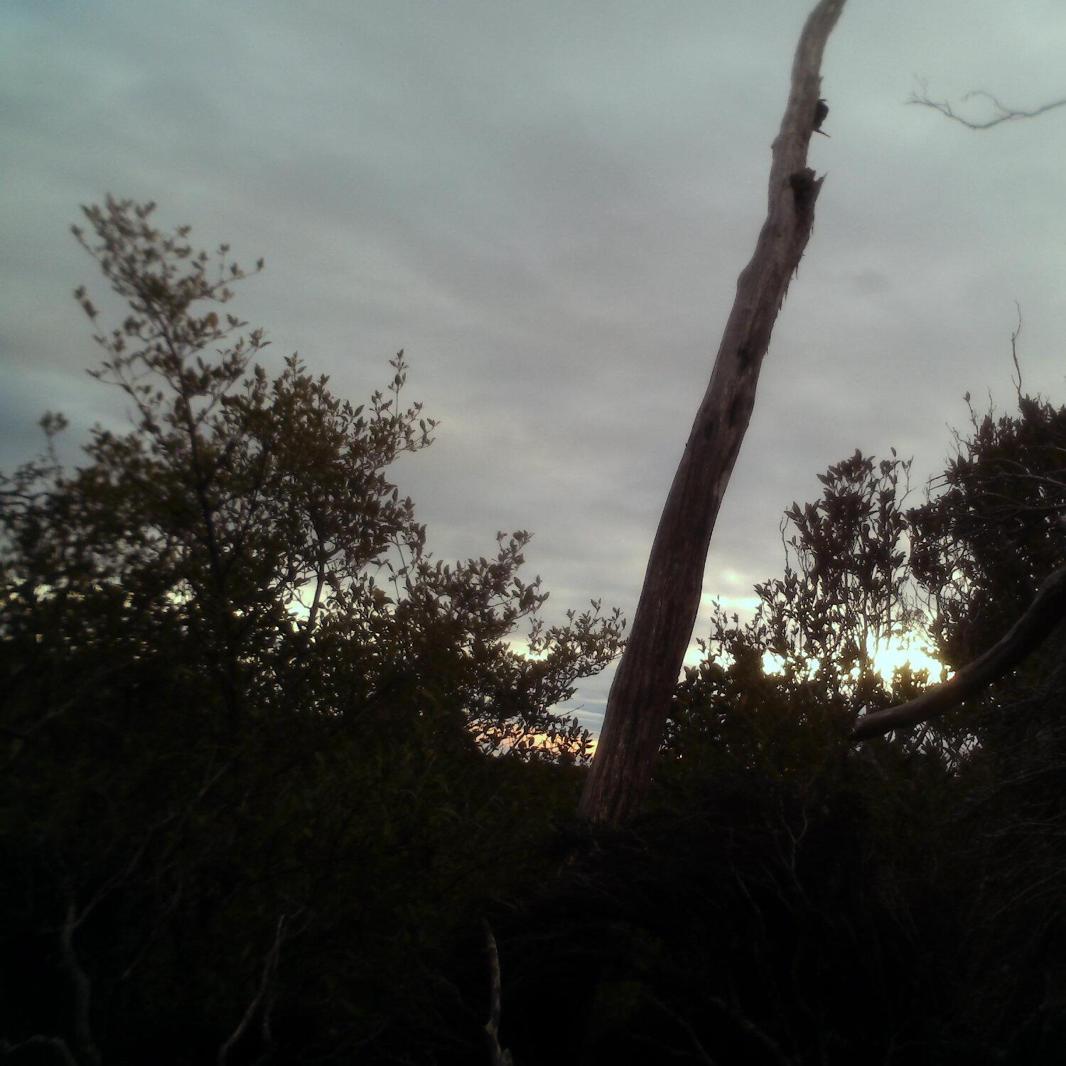 A photo captured from the webcam at the time the audio was recorded