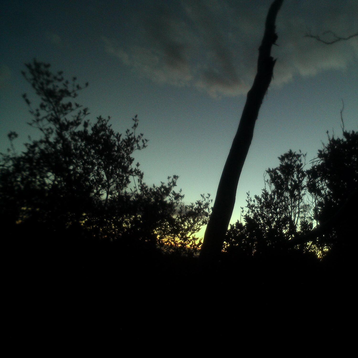 A photo captured from the webcam at the time the audio was recorded