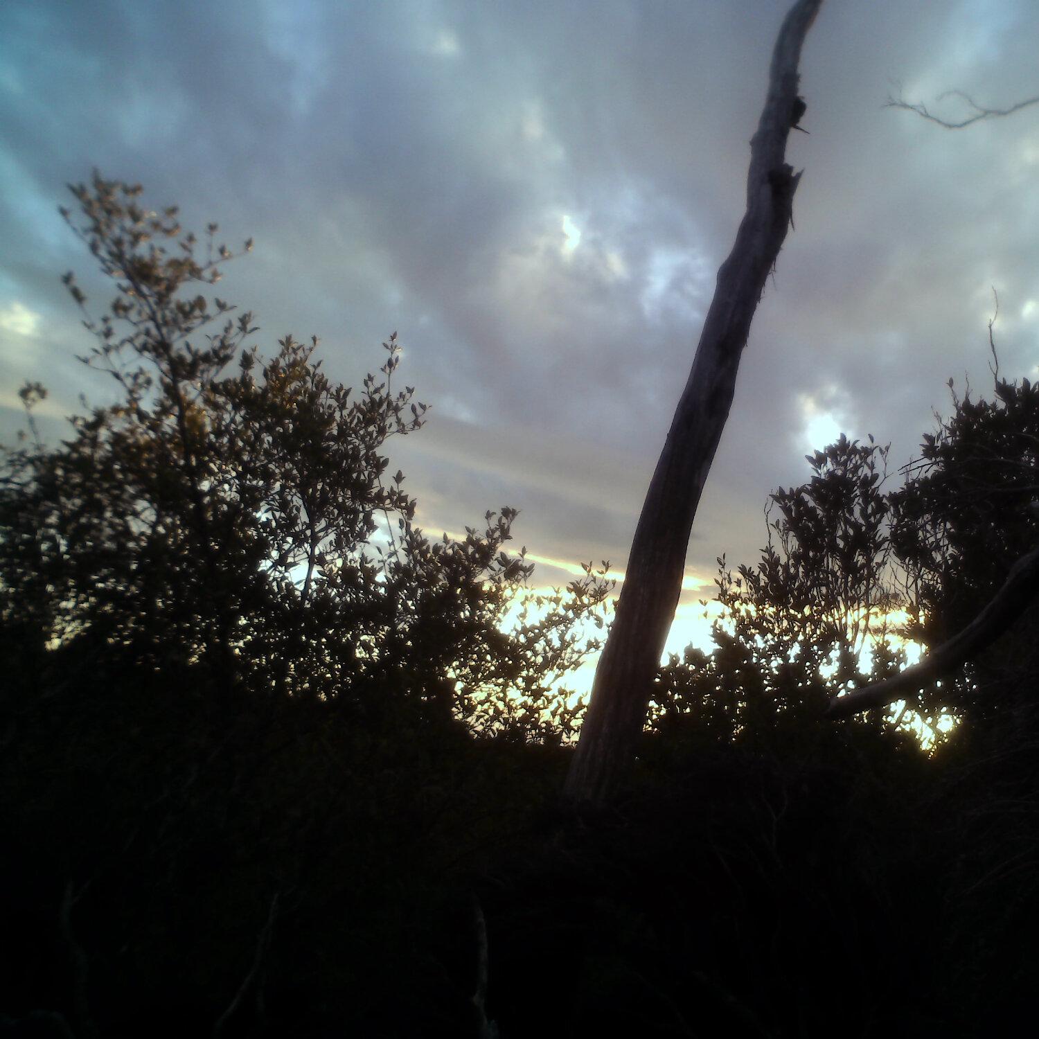 A photo captured from the webcam at the time the audio was recorded