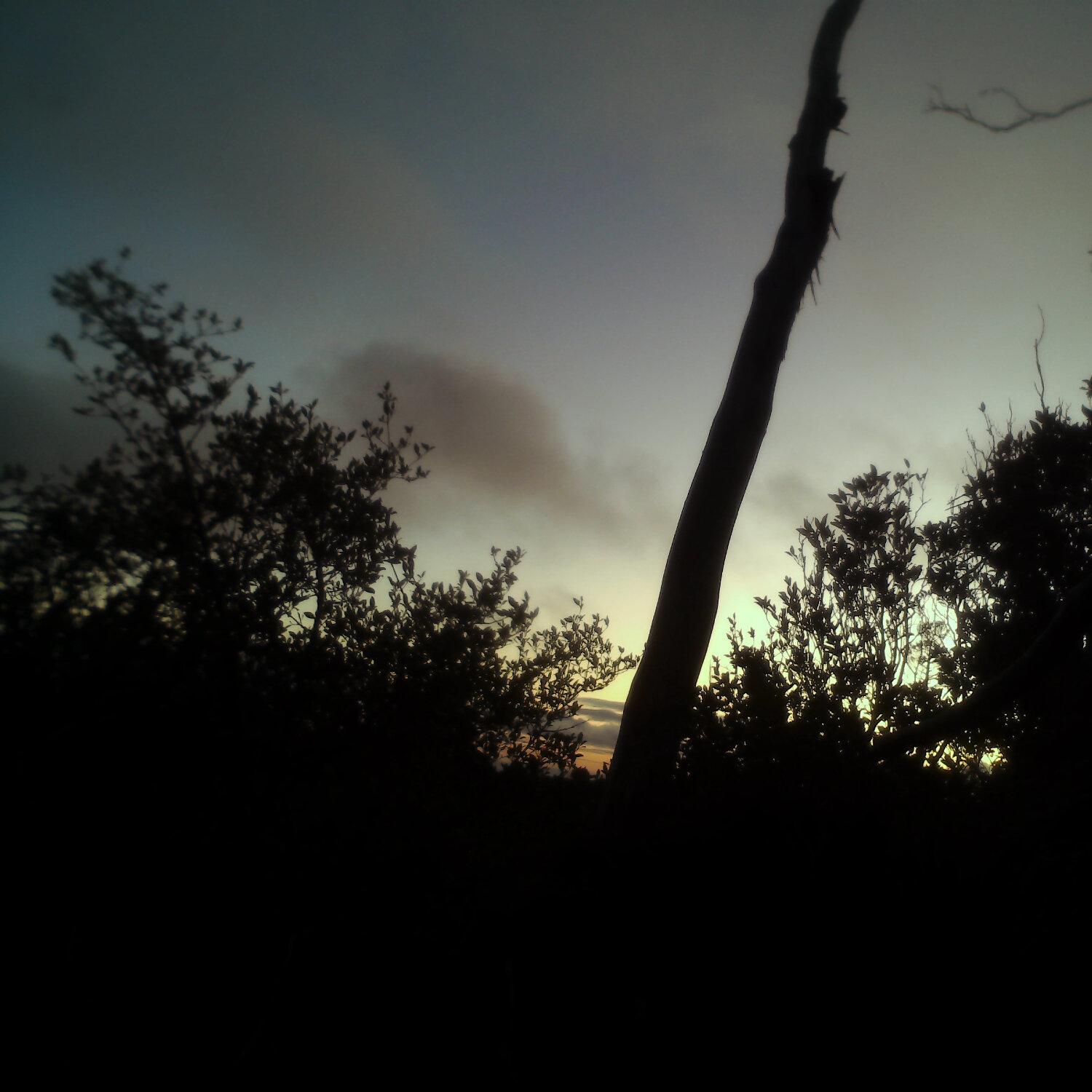 A photo captured from the webcam at the time the audio was recorded