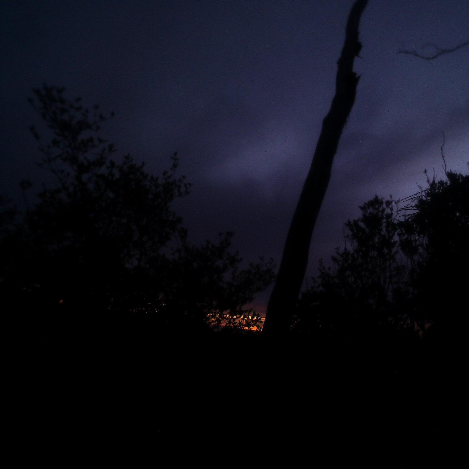 A photo captured from the webcam at the time the audio was recorded