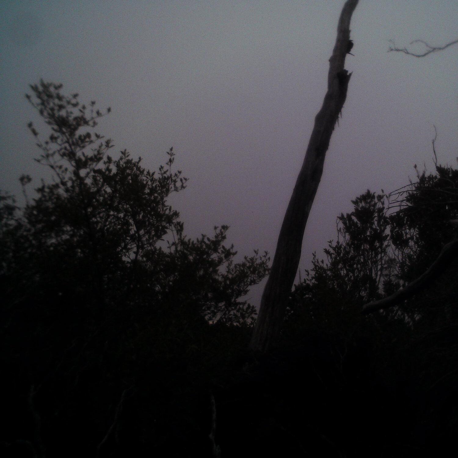 A photo captured from the webcam at the time the audio was recorded