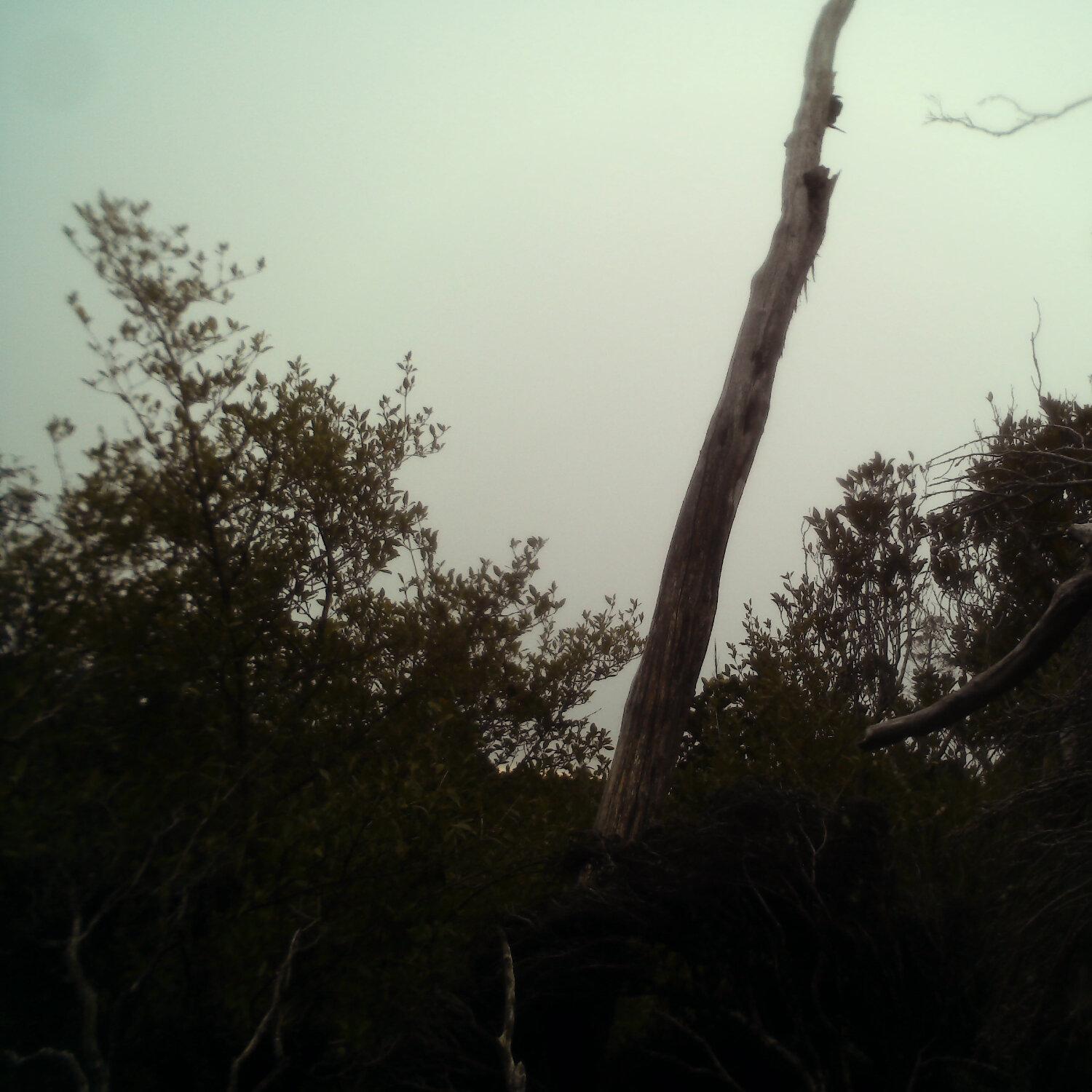 A photo captured from the webcam at the time the audio was recorded