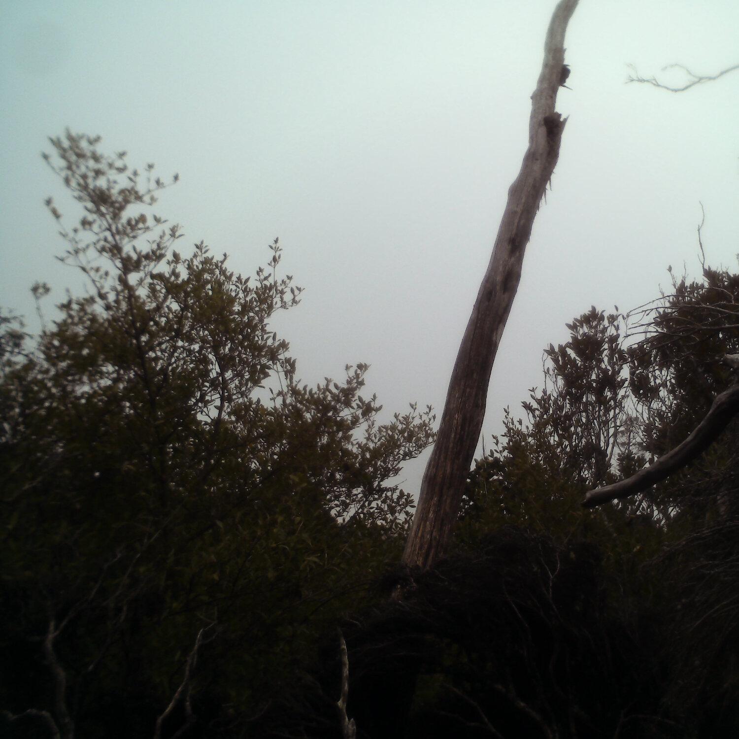 A photo captured from the webcam at the time the audio was recorded