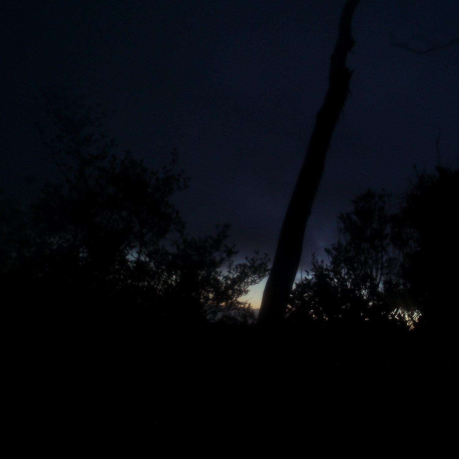 A photo captured from the webcam at the time the audio was recorded
