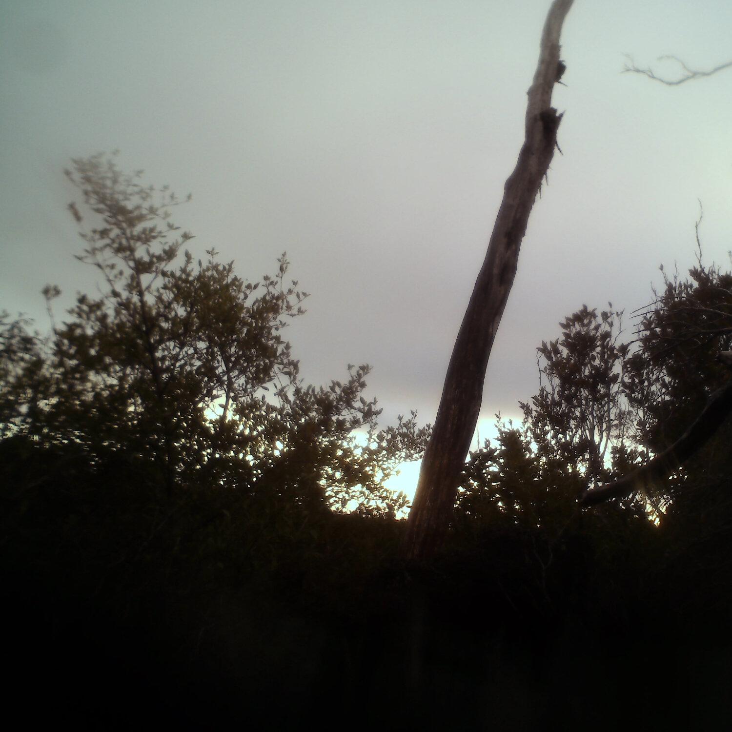 A photo captured from the webcam at the time the audio was recorded