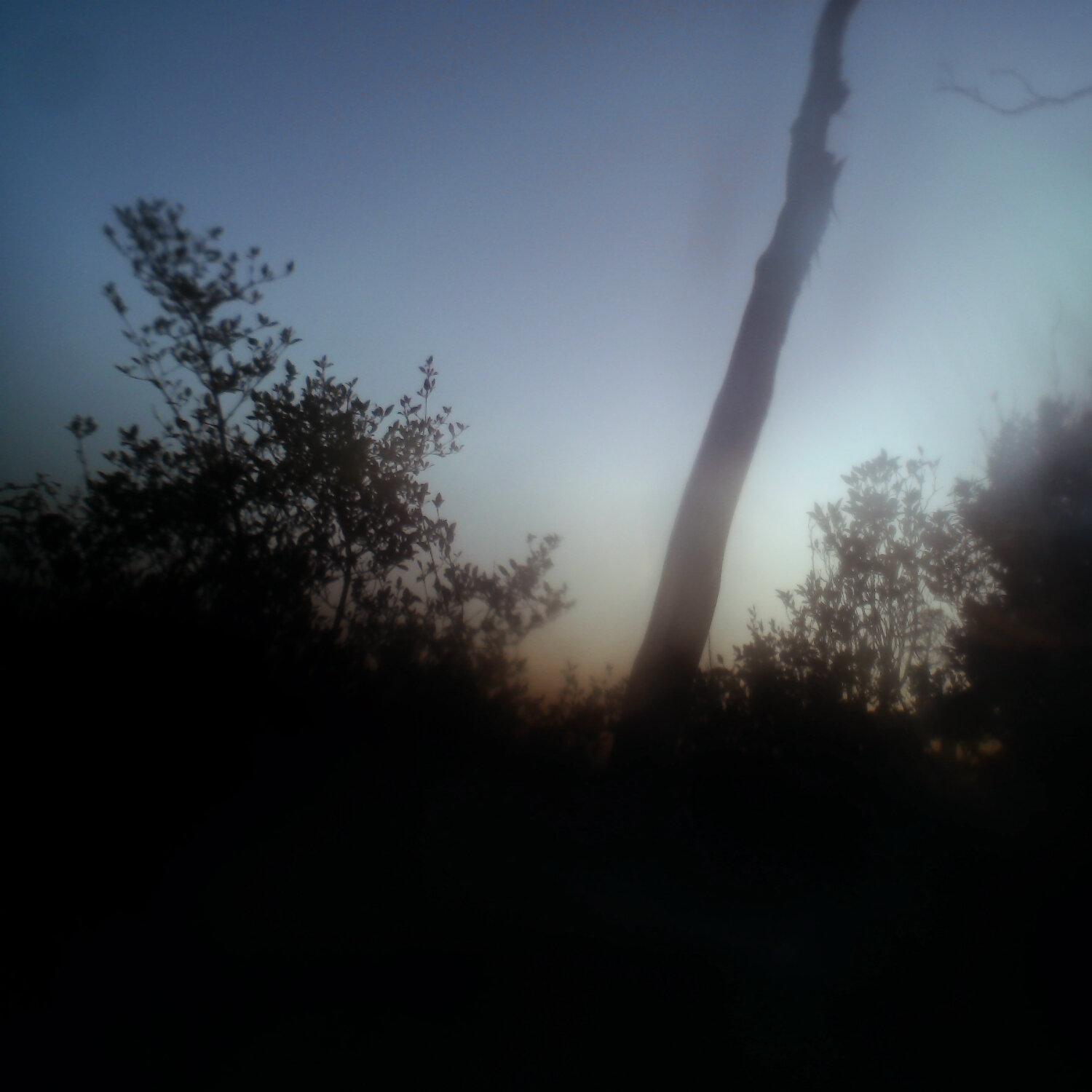 A photo captured from the webcam at the time the audio was recorded
