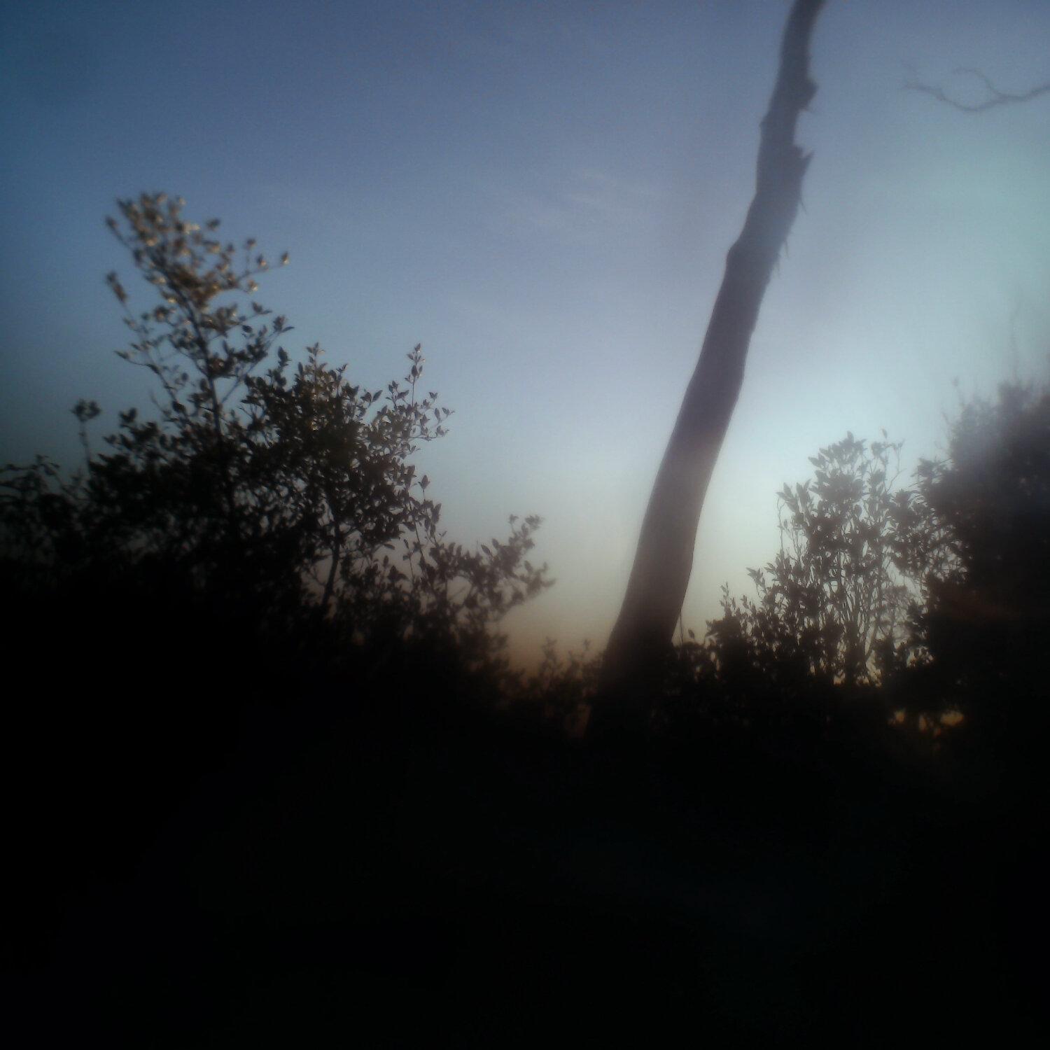 A photo captured from the webcam at the time the audio was recorded