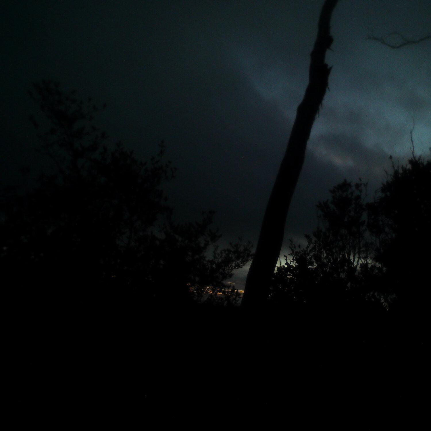 A photo captured from the webcam at the time the audio was recorded