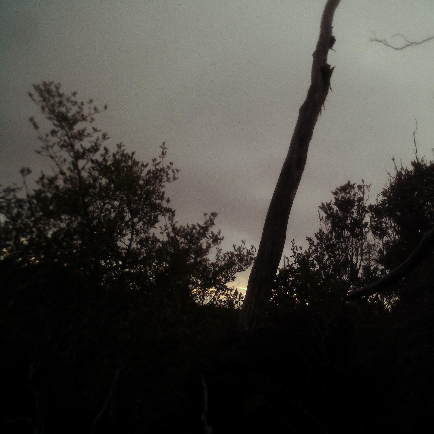A photo captured from the webcam at the time the audio was recorded