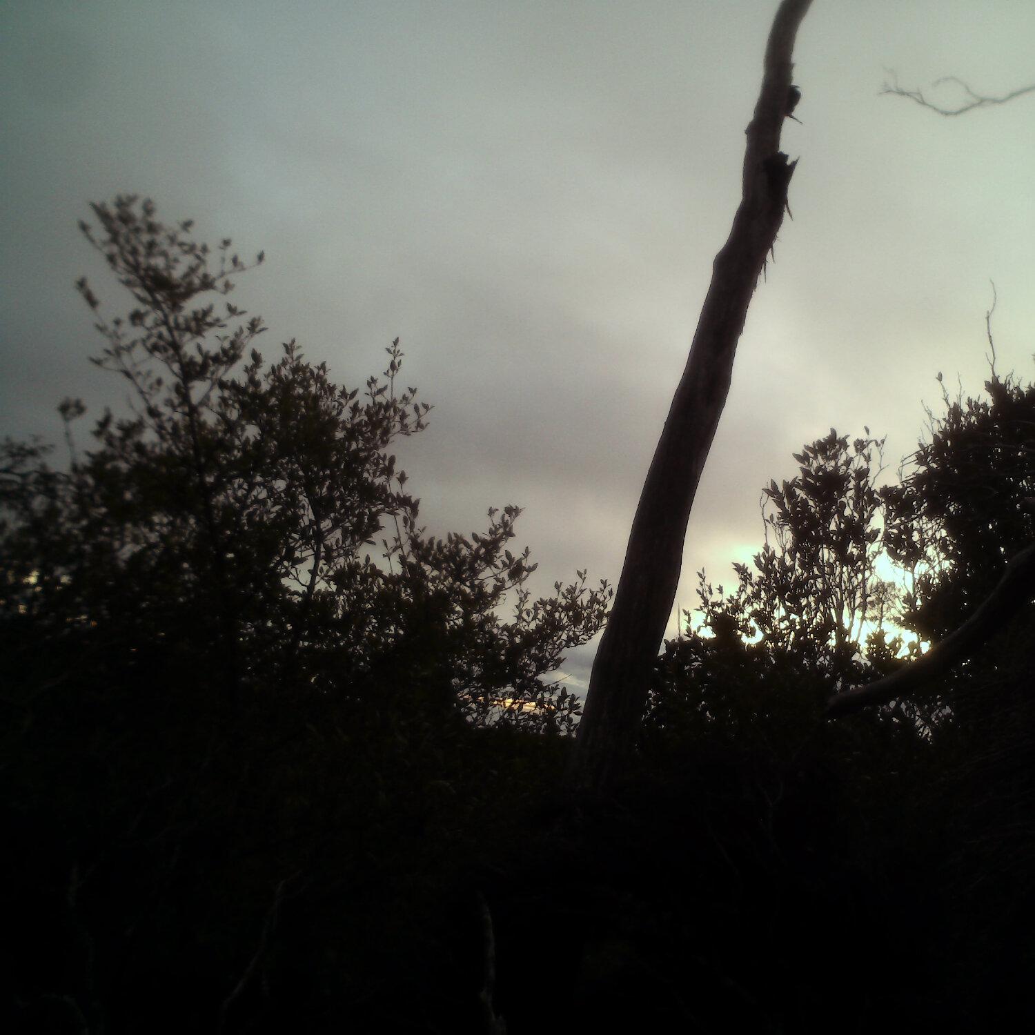 A photo captured from the webcam at the time the audio was recorded