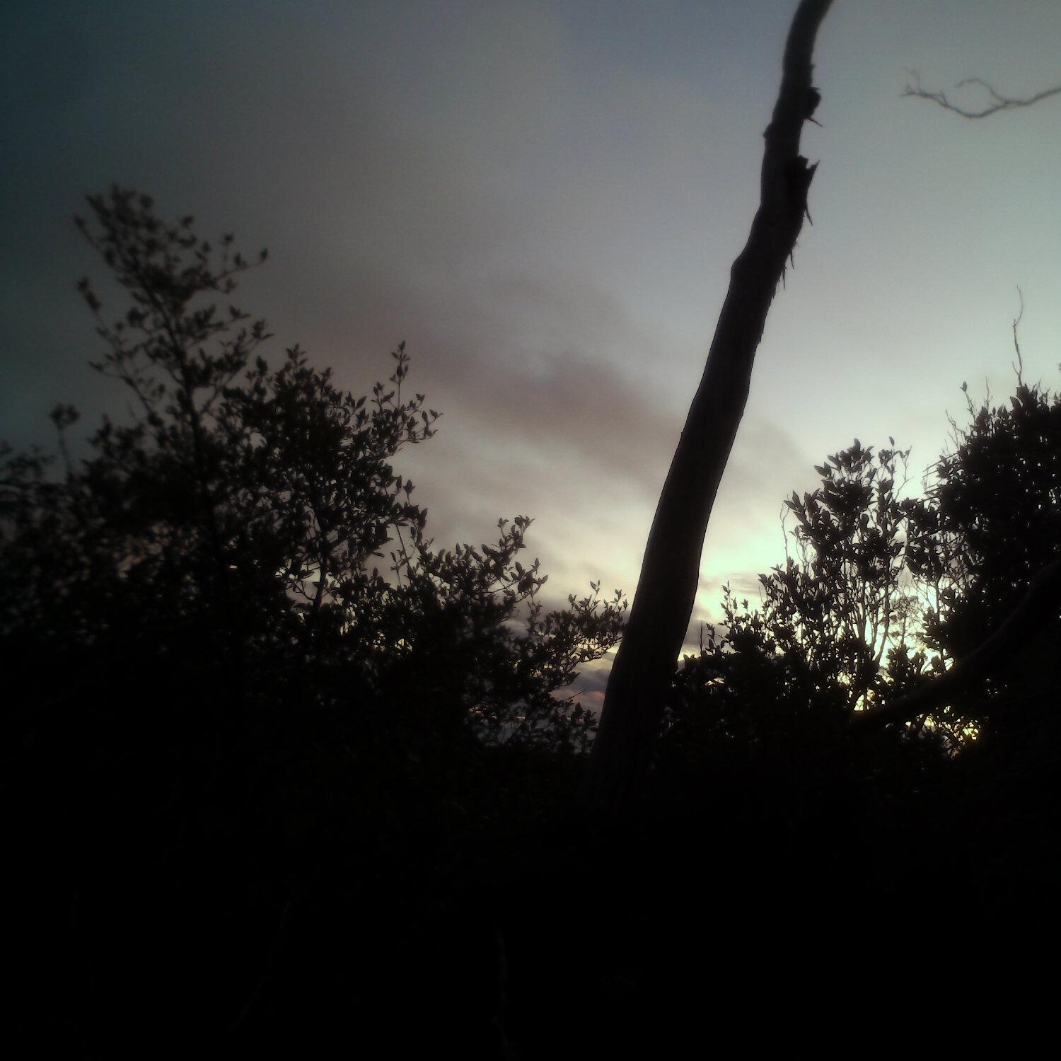 A photo captured from the webcam at the time the audio was recorded