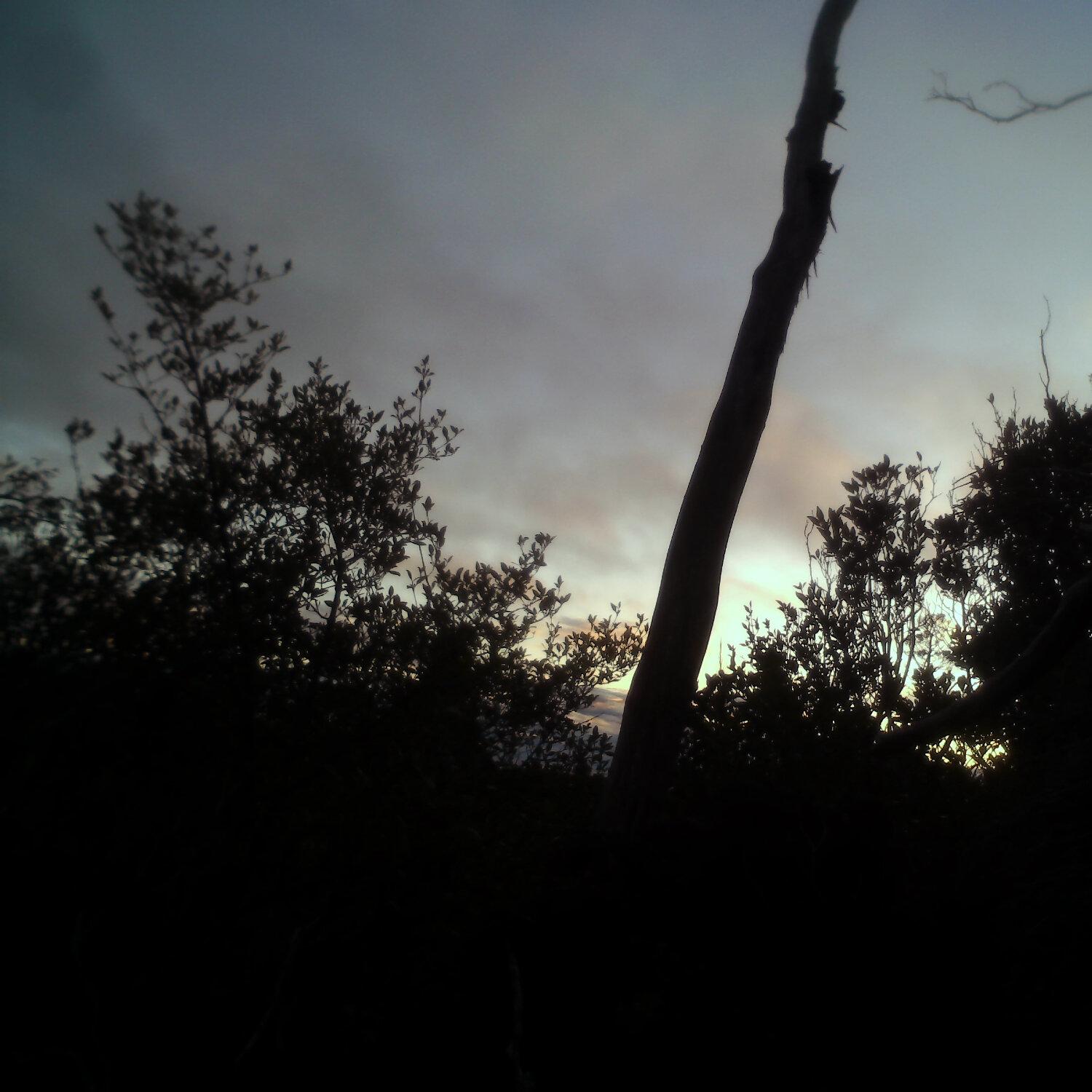A photo captured from the webcam at the time the audio was recorded