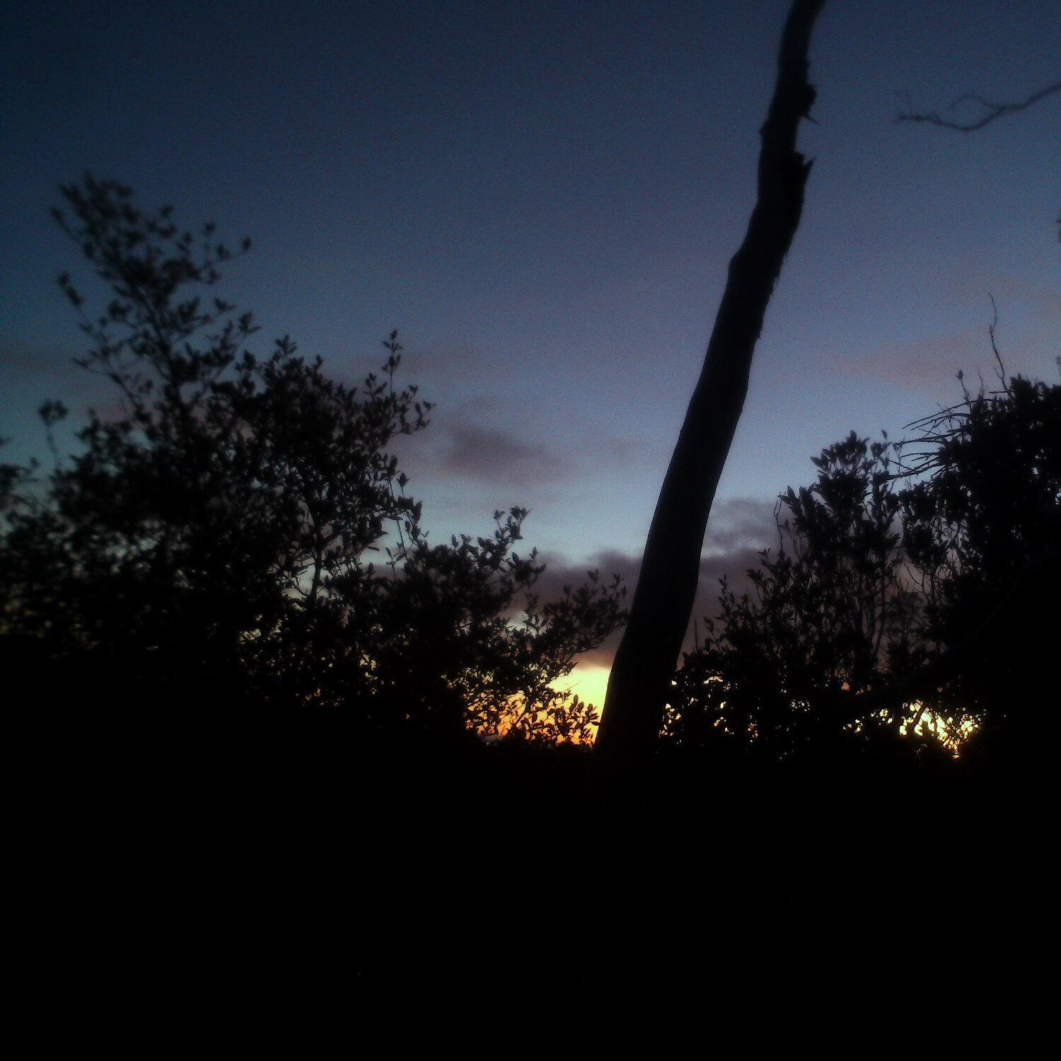 A photo captured from the webcam at the time the audio was recorded