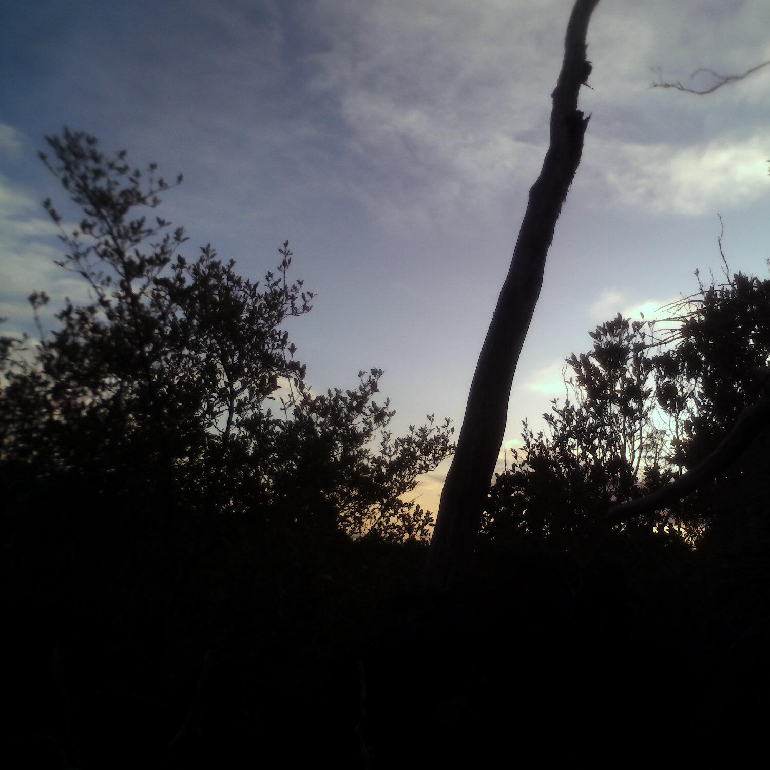 A photo captured from the webcam at the time the audio was recorded