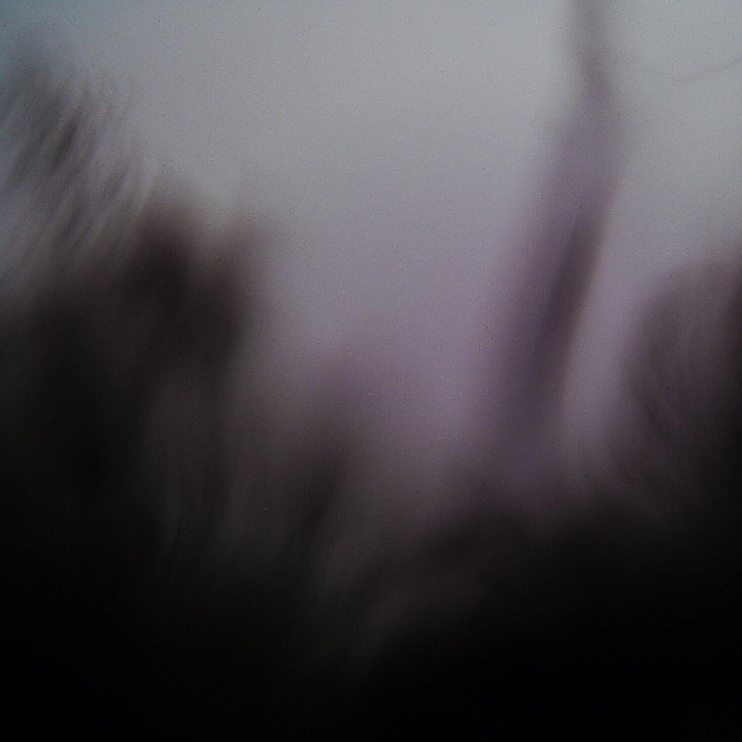 A photo captured from the webcam at the time the audio was recorded