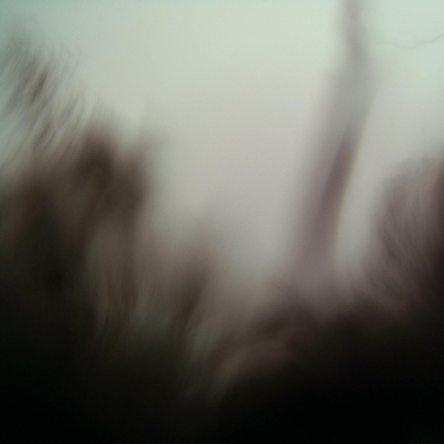 A photo captured from the webcam at the time the audio was recorded