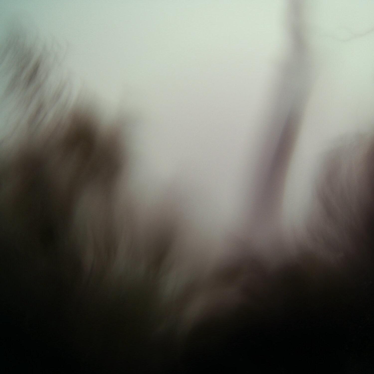 A photo captured from the webcam at the time the audio was recorded
