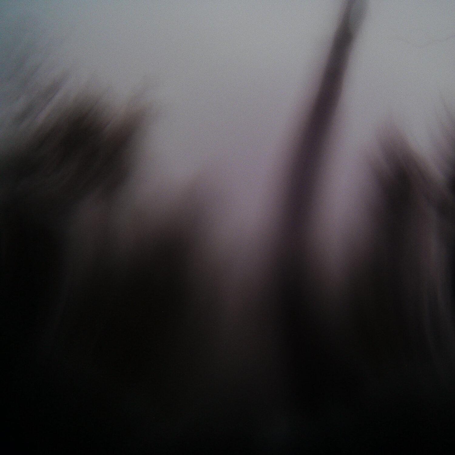 A photo captured from the webcam at the time the audio was recorded