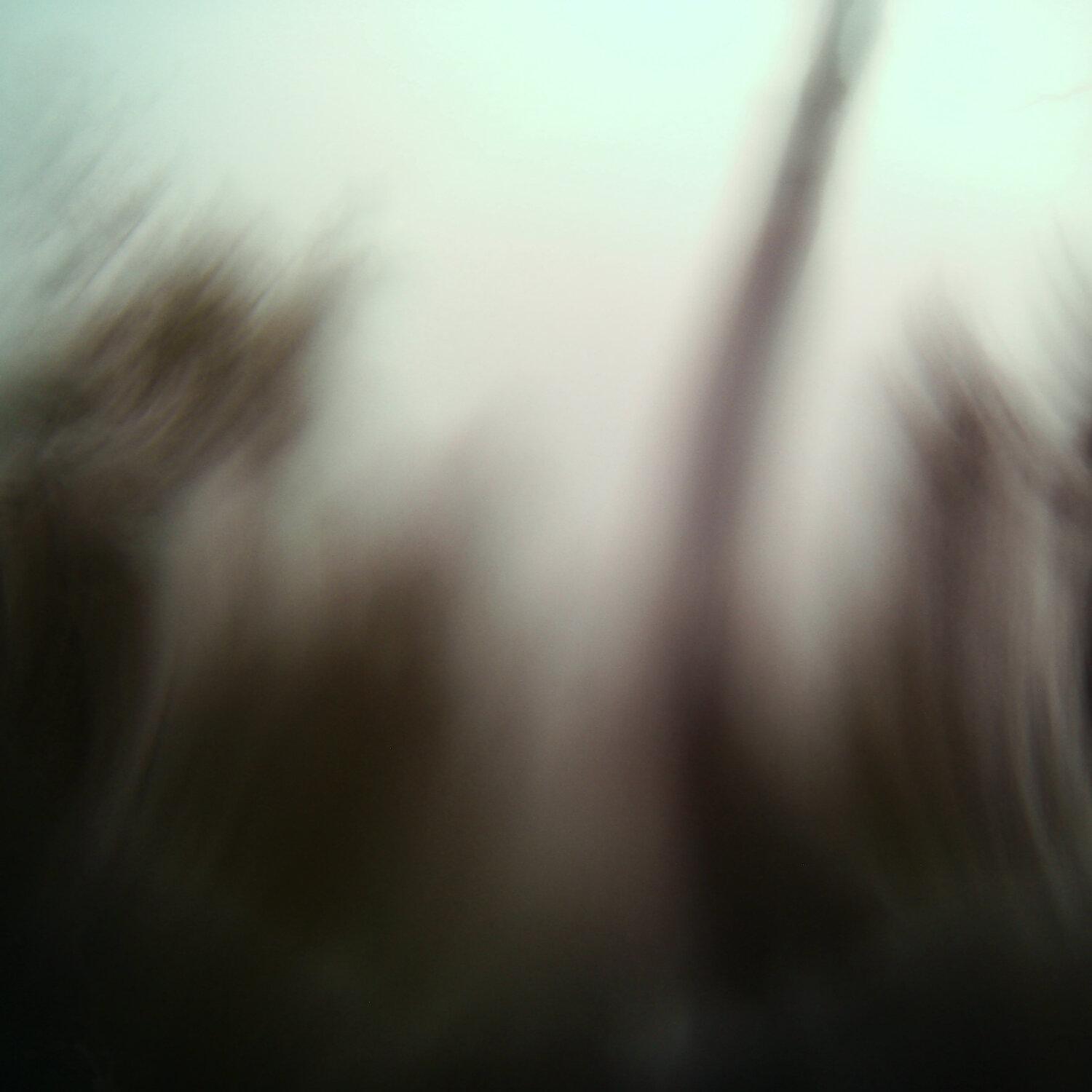 A photo captured from the webcam at the time the audio was recorded