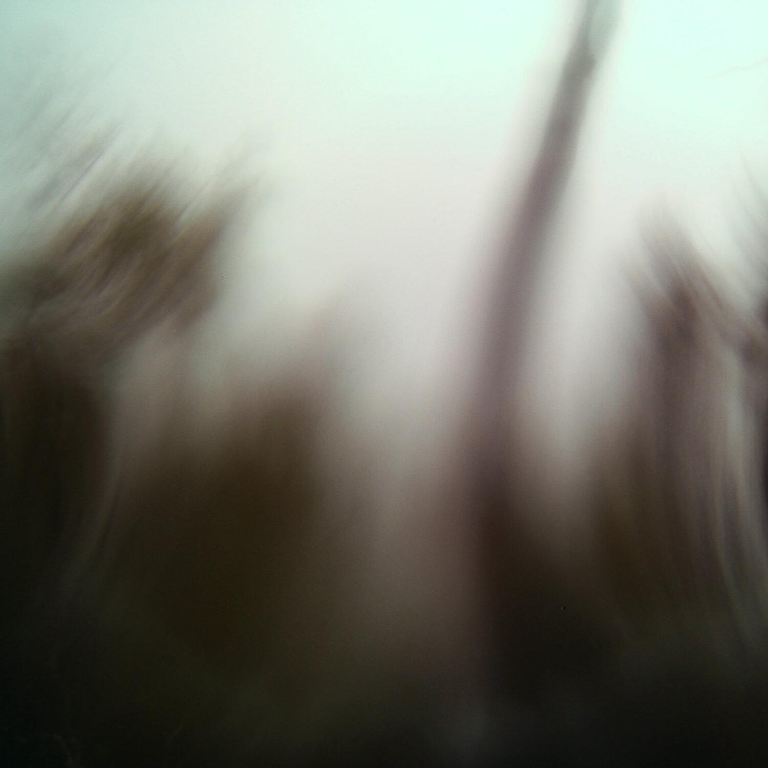 A photo captured from the webcam at the time the audio was recorded