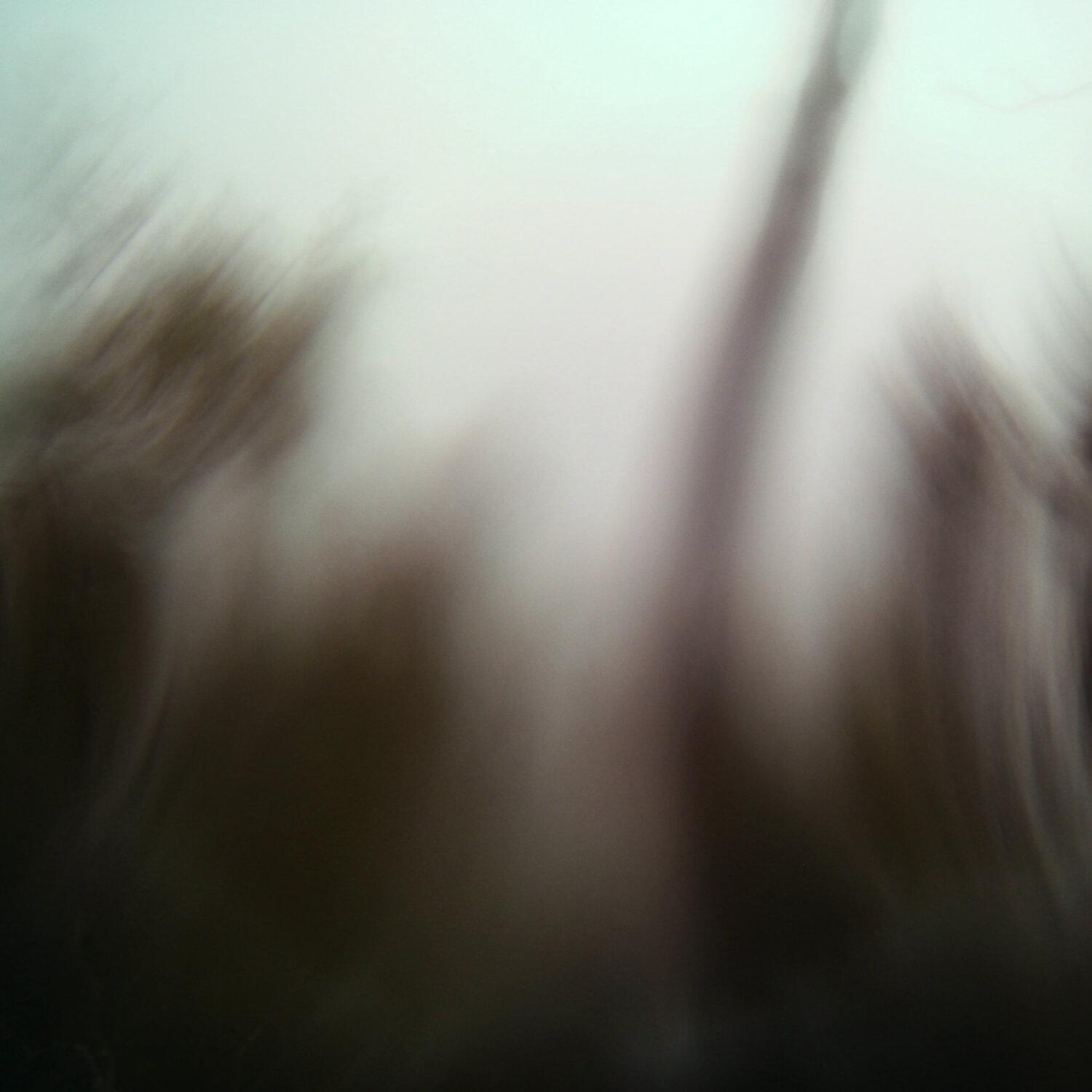 A photo captured from the webcam at the time the audio was recorded