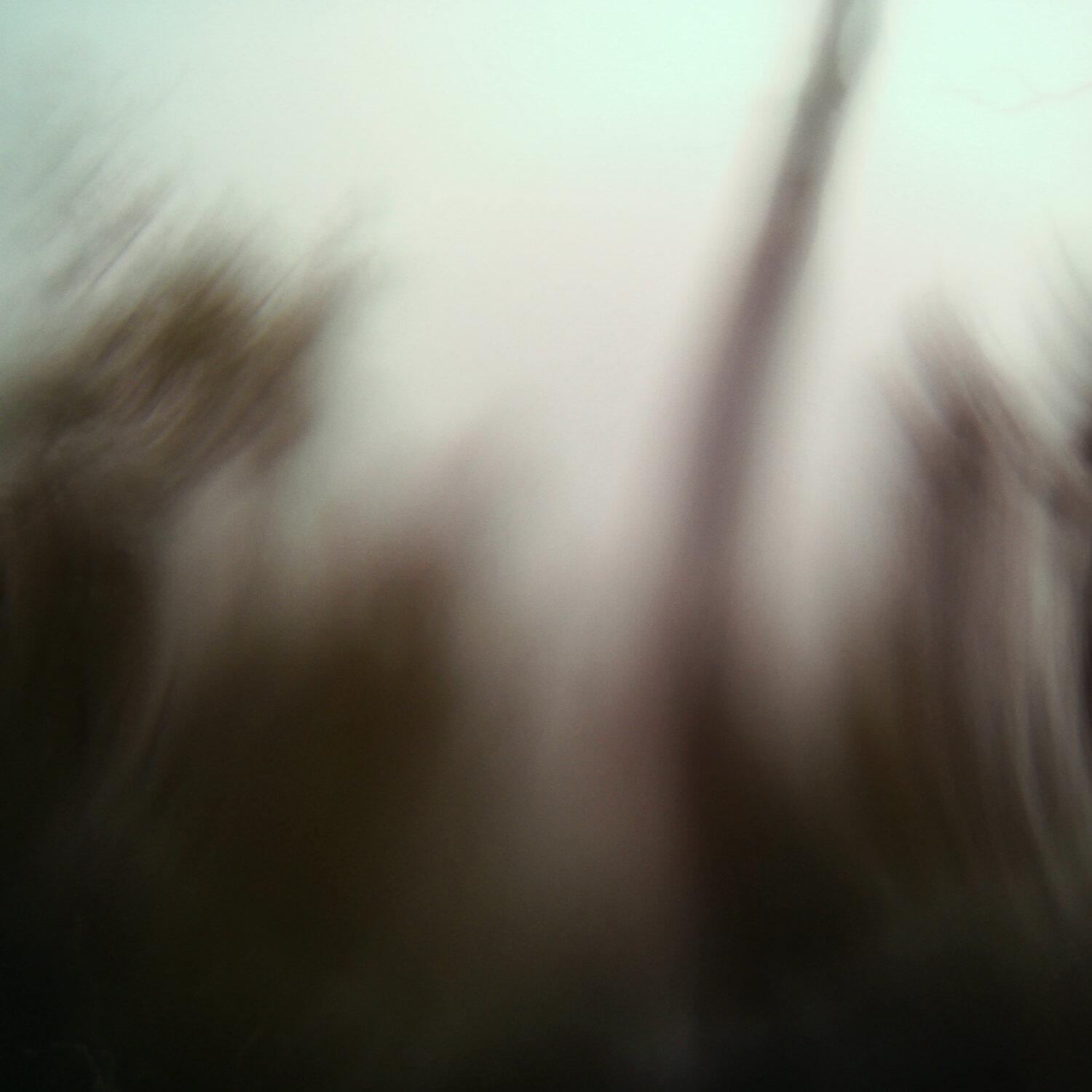 A photo captured from the webcam at the time the audio was recorded