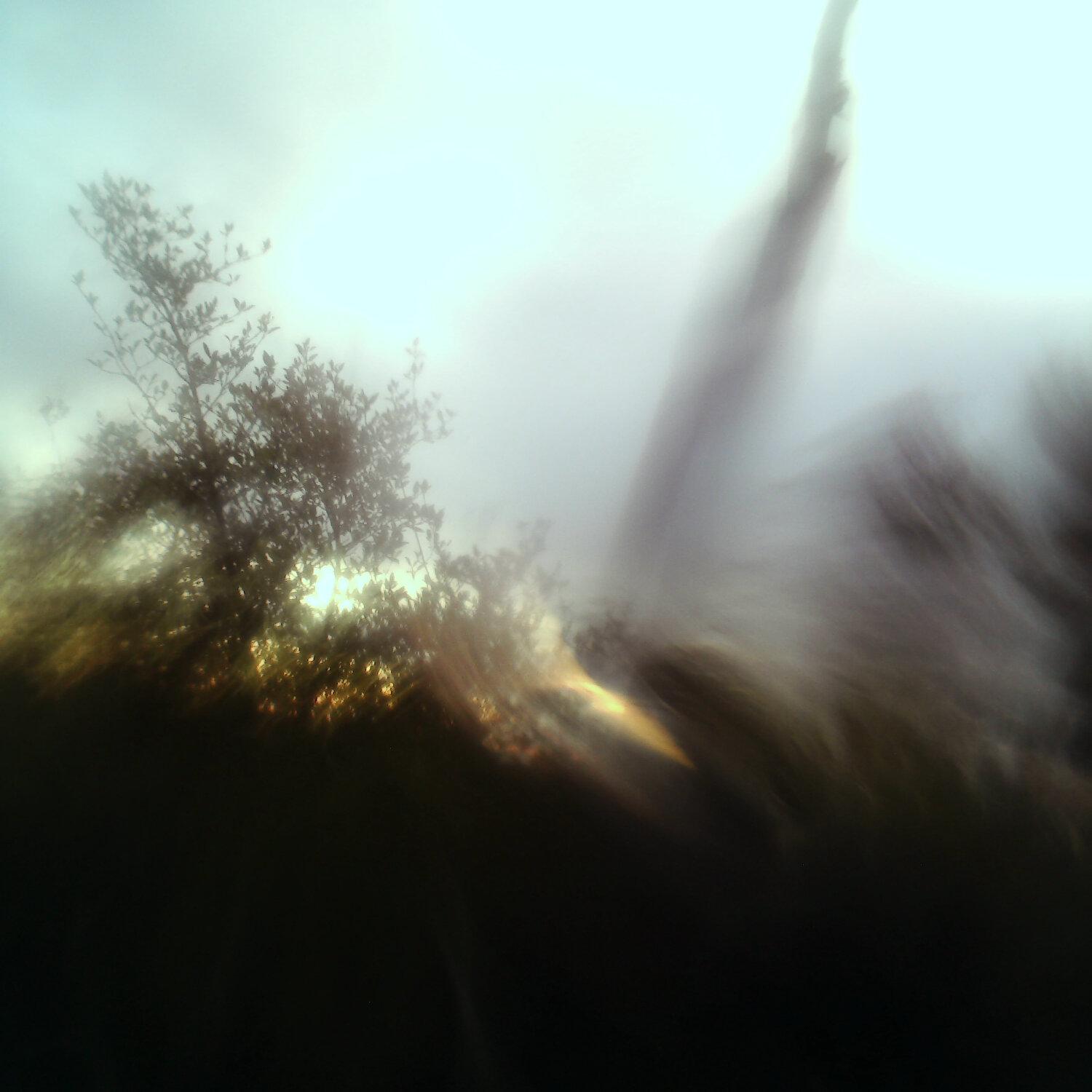 A photo captured from the webcam at the time the audio was recorded