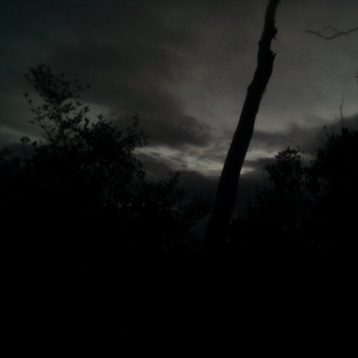 A photo captured from the webcam at the time the audio was recorded