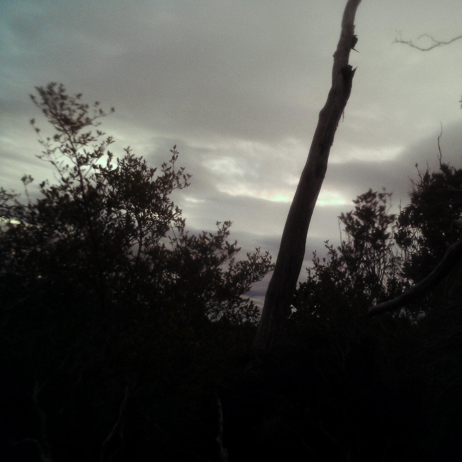 A photo captured from the webcam at the time the audio was recorded