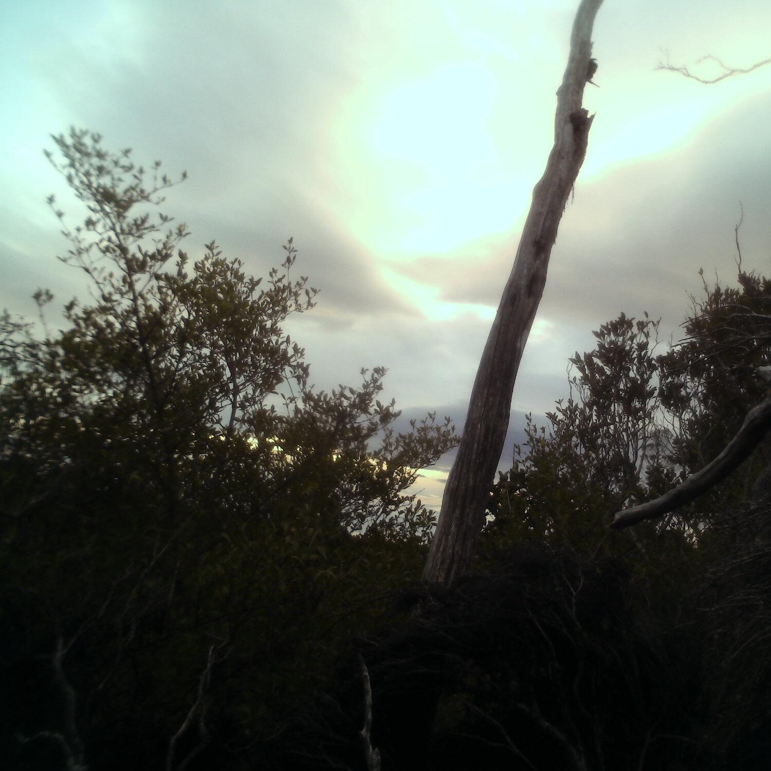 A photo captured from the webcam at the time the audio was recorded
