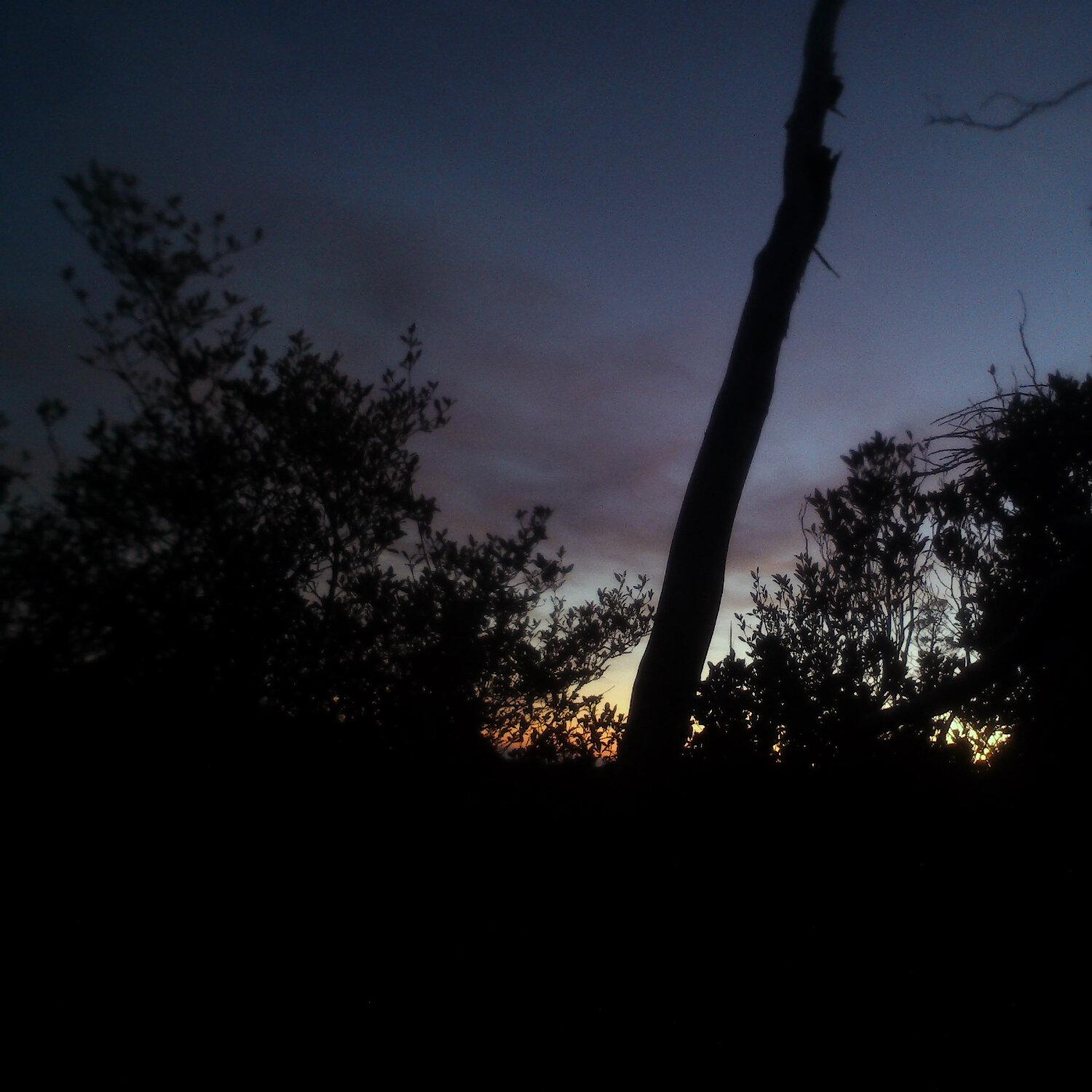 A photo captured from the webcam at the time the audio was recorded