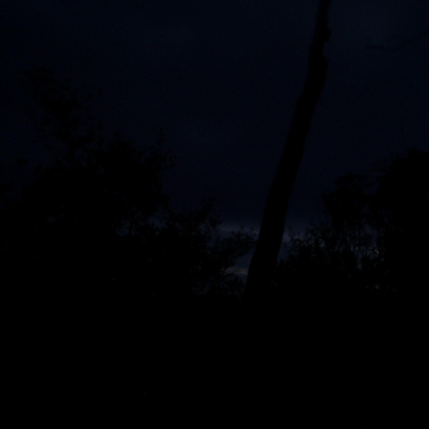 A photo captured from the webcam at the time the audio was recorded