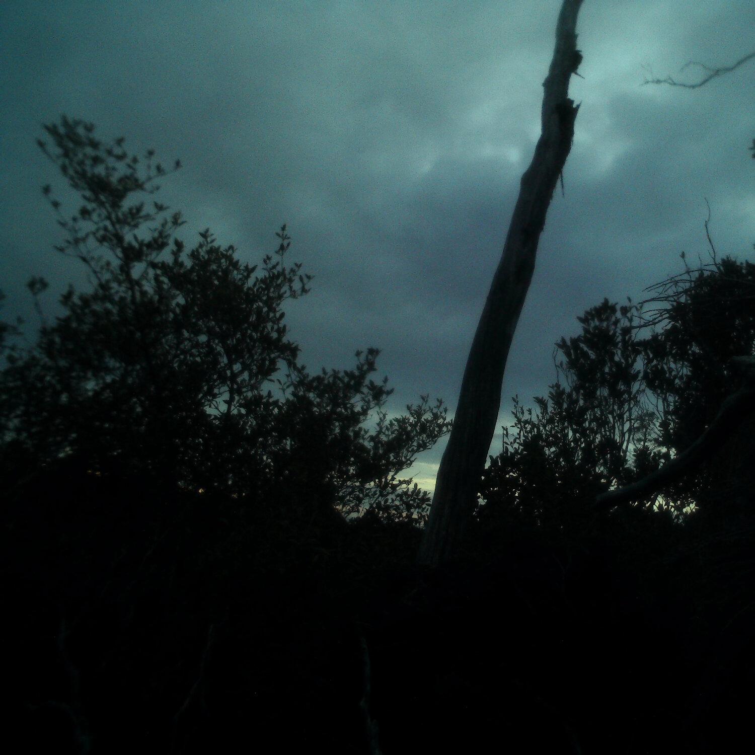 A photo captured from the webcam at the time the audio was recorded
