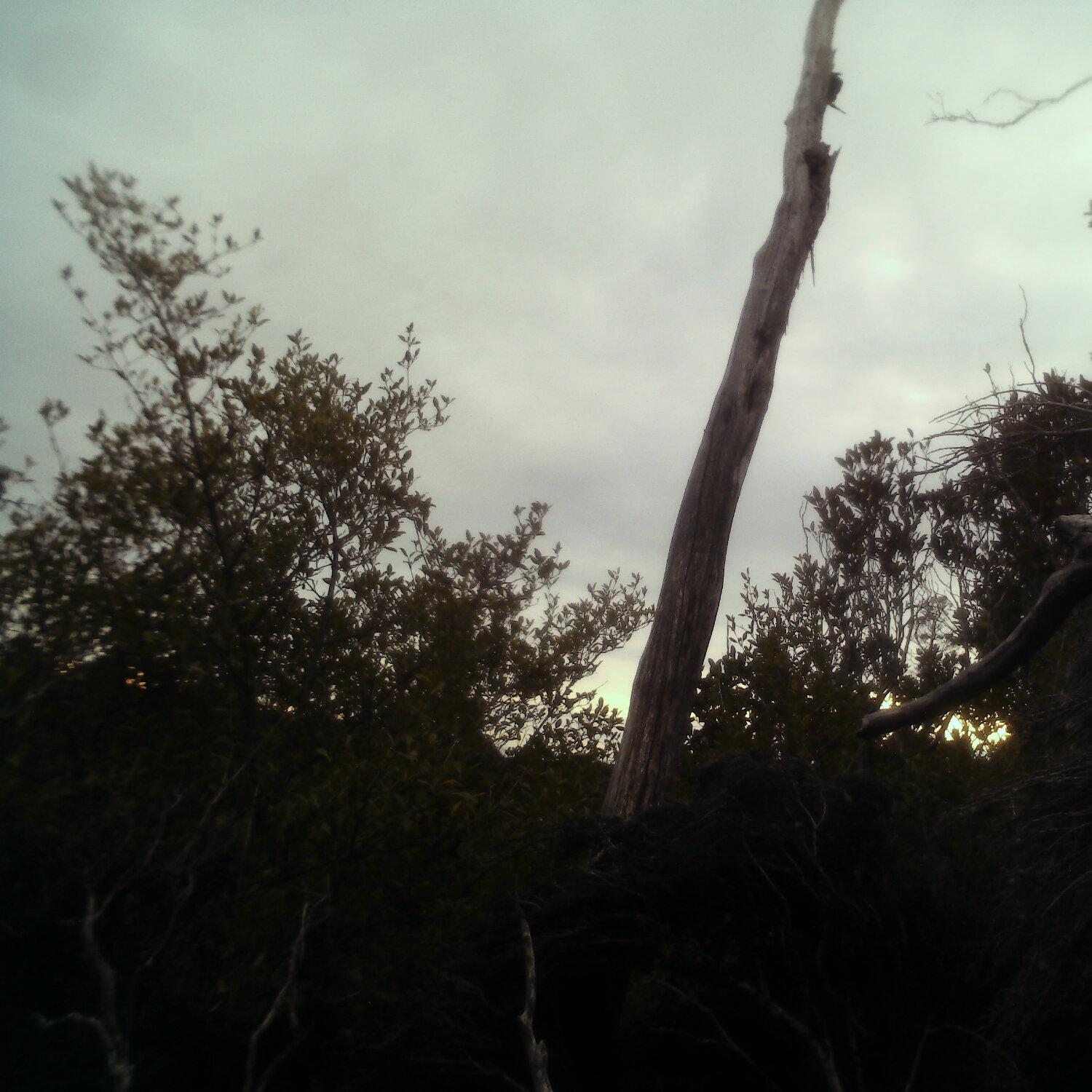 A photo captured from the webcam at the time the audio was recorded