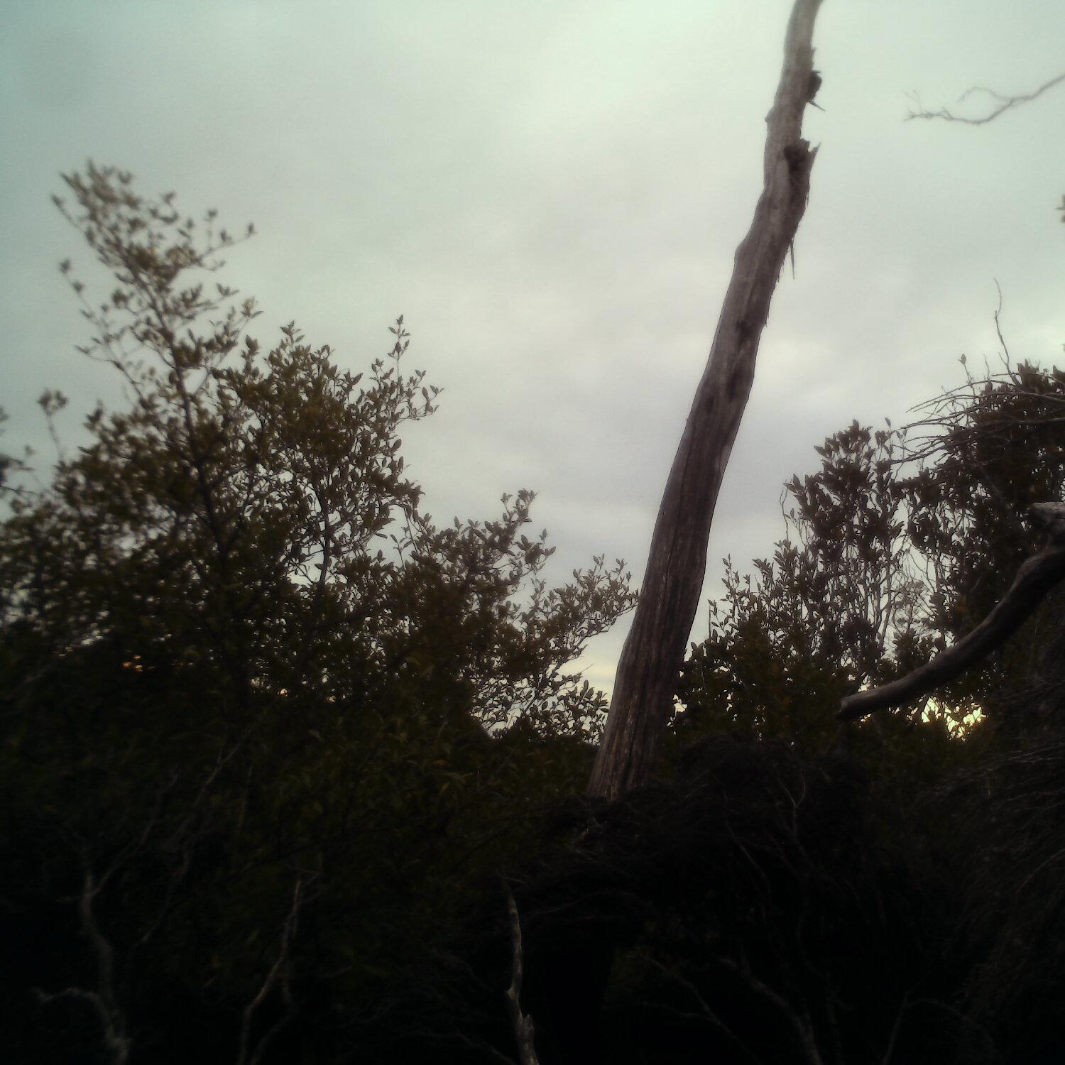 A photo captured from the webcam at the time the audio was recorded