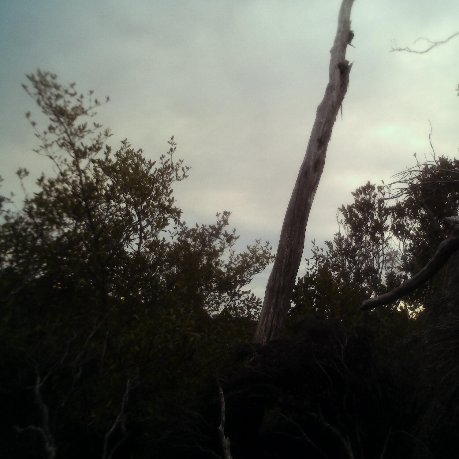 A photo captured from the webcam at the time the audio was recorded