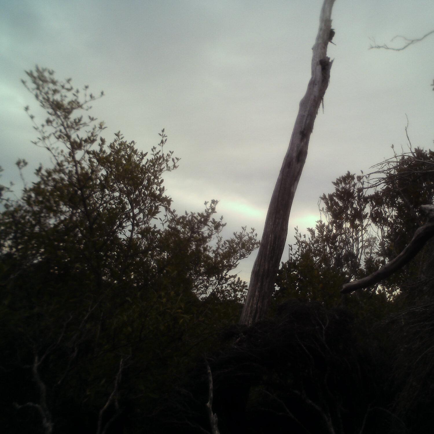 A photo captured from the webcam at the time the audio was recorded