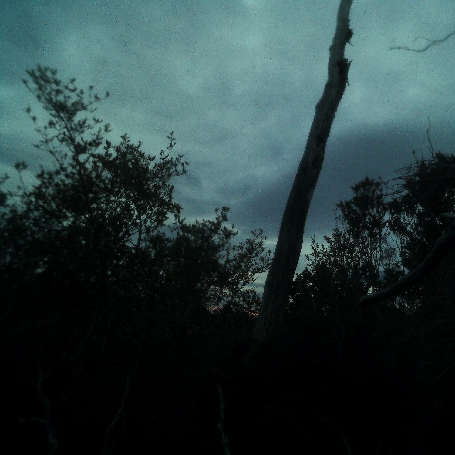 A photo captured from the webcam at the time the audio was recorded