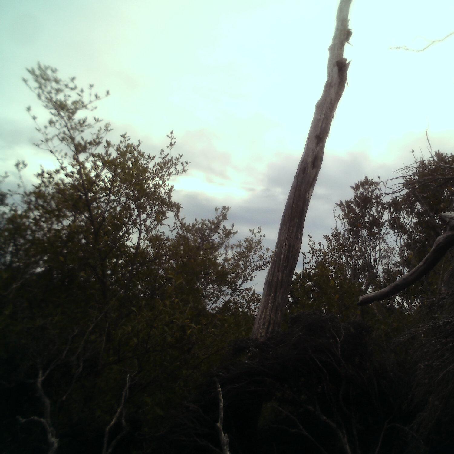 A photo captured from the webcam at the time the audio was recorded